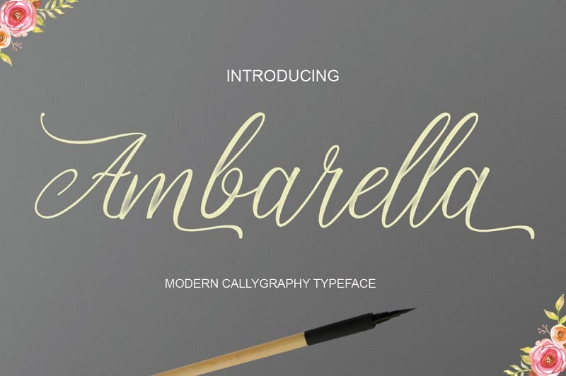 AMBARELLA