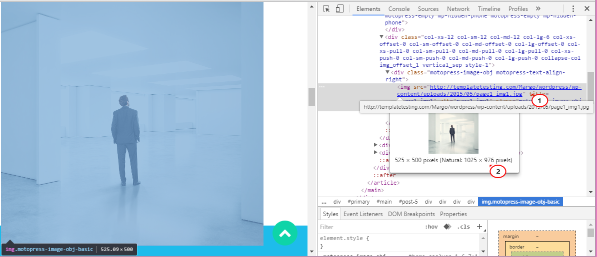 WordPress. How to check default image dimensions Template Monster Help