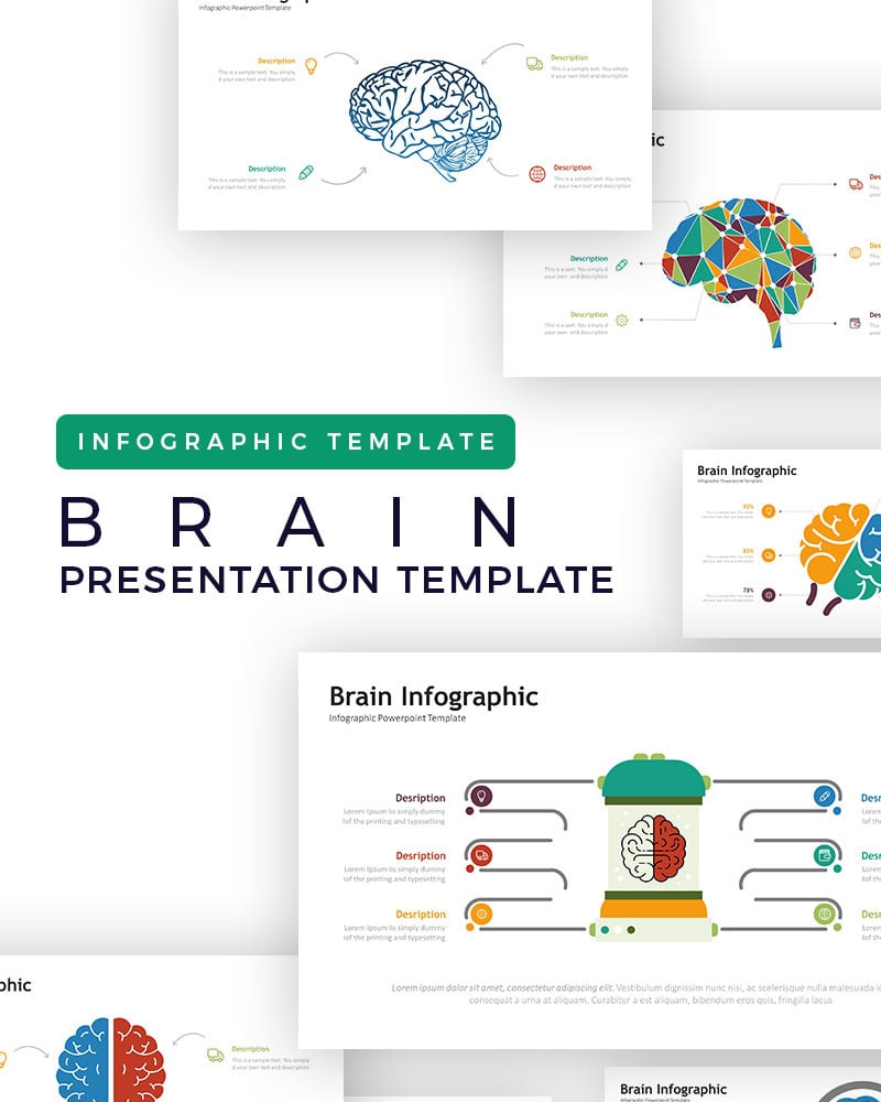 Gehirn Pr Sentation Infografik Powerpoint Vorlage