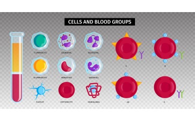 Conjunto de hemoglobina de glóbulos rojos 201250404 Concepto de ilustración vectorial