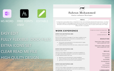 Designer Pro - Resume Template