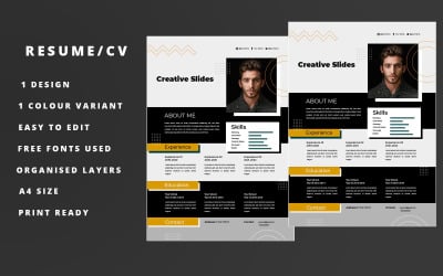 Nicky Academy - Minimalistic CV Resume Template