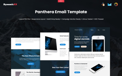 Panthera Newsletter + MailChimp + Campaign Monitor模板准备好