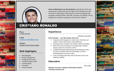Professional Resume/CV Template First Step To Your Dream Job/University