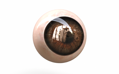 Human Eye Low-poly 3D modell