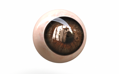 Menselijk oog Low-poly 3D-model