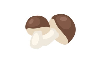可食用蘑菇半平面色矢量对象