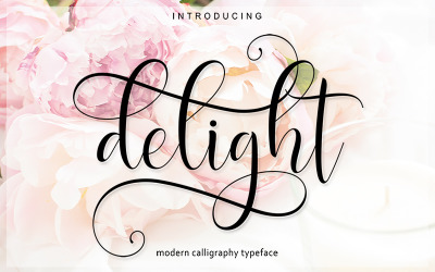 Delight Script Corporate Design