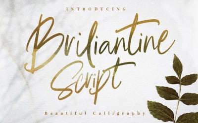 Briliantine Beautiful Script