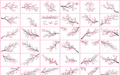 Cherry blossom flower branch collection