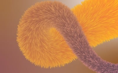 Fur Background Fluffy and soft surface pattern 51