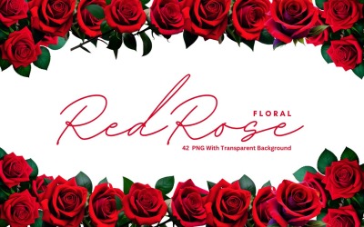 Pakiet premium PNG z czerwoną różą