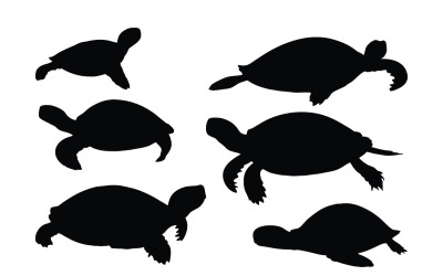 海龟在不同位置矢量