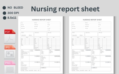 Nurse Sheet Report, Nurse Cassie’s Edit, Single Patient Log Medication, Day or Night Shift