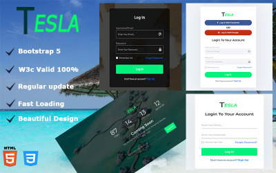Tesla -登录，注册和联系表格，“很快”模板