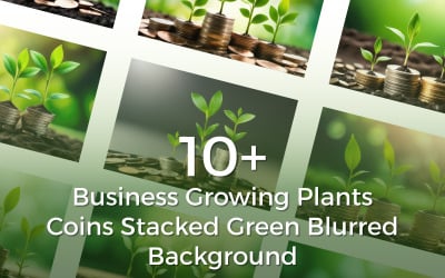 10+高级业务种植植物的硬币堆叠在绿色模糊背景束