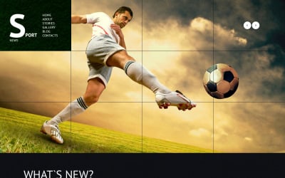 Sports News Responsive WordPress Theme