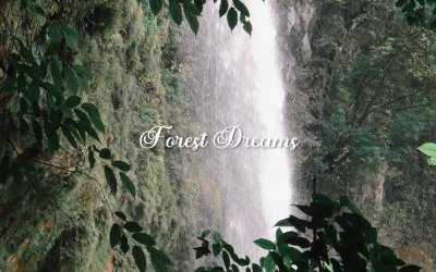 The Forest Holds Our Dreams / Forest Dreams