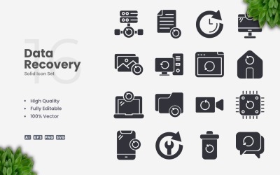 16 Data Recovery Solid Icon Set