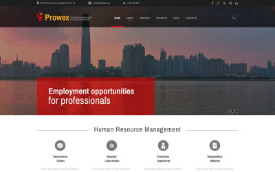 Professional Employment WordPress Theme