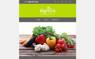 Agriculture Responsive Newsletter Template