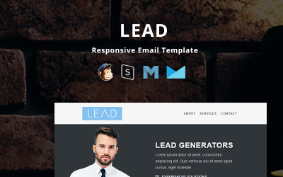 Lead - modelo de boletim informativo responsivo corporativo