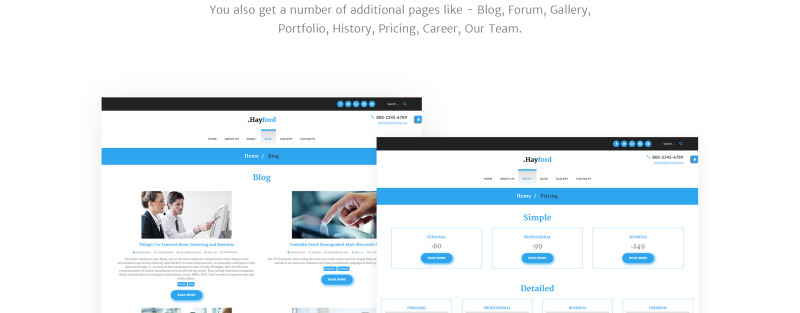 Szablon Joomla responsywny doradcy finansowego - Obraz funkcji 9