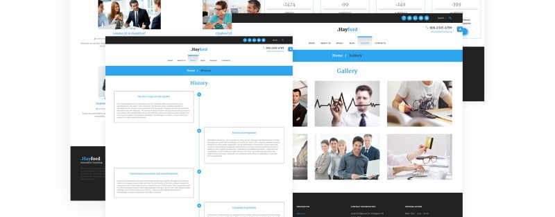Szablon Joomla responsywny doradcy finansowego - Obraz funkcji 10