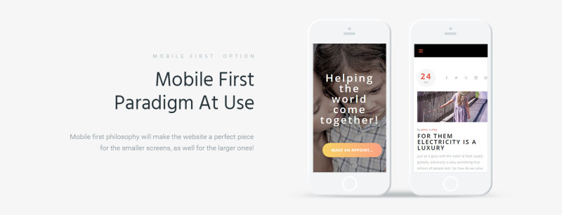 Quidin - Charity Fully Responsive WordPress Theme - Features Image 4