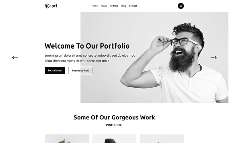 Papri -投资组合创意HTML5模板网站模板