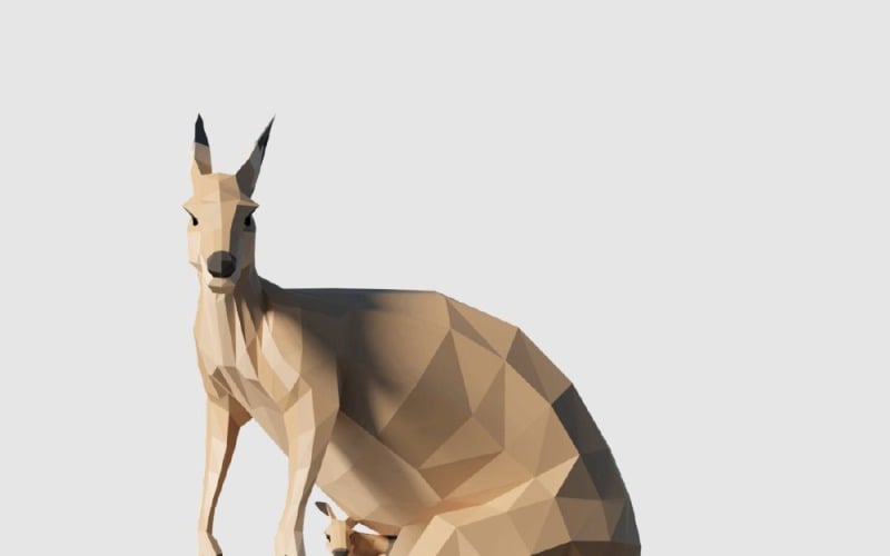 Modello 3D di canguro