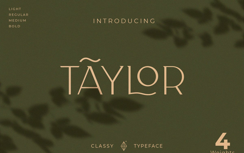 Classy Taylor-lettertype