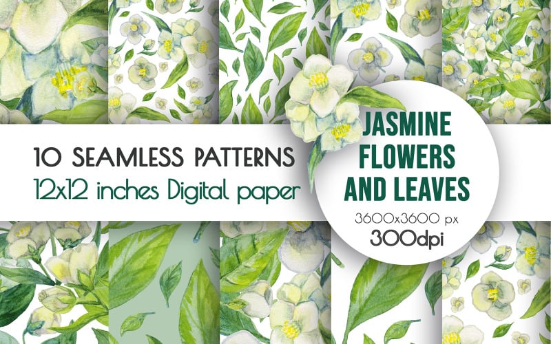 Watercolor Jasmine Flowers and Leaves Pattern