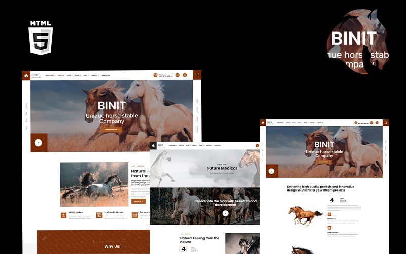 Binit马和马厩HTML5模板