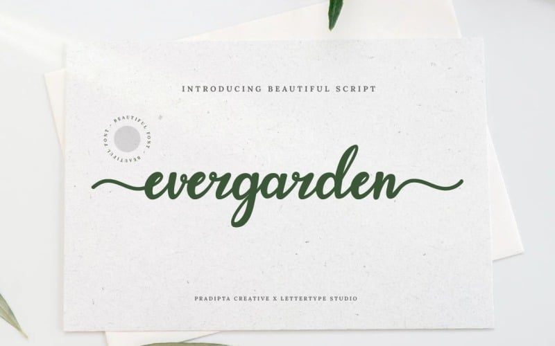 Evergarden美丽的脚本字体