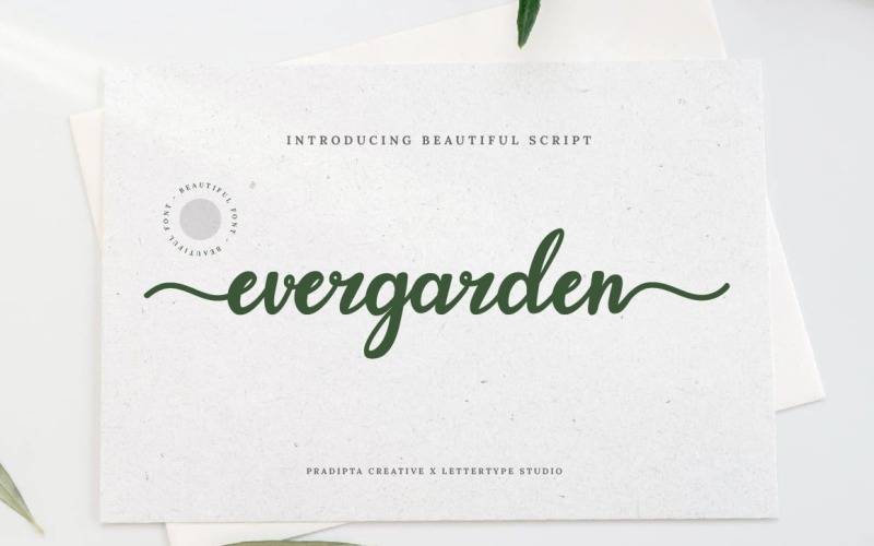 Evergarden漂亮的脚本字体