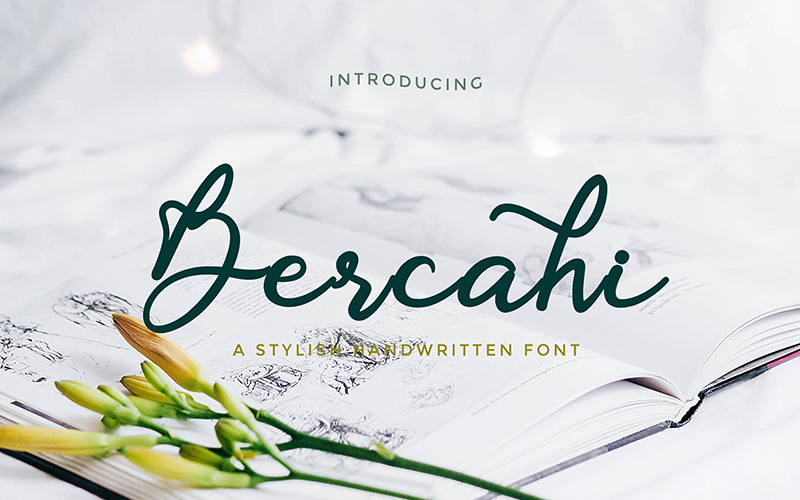 Bercahi - Modern Handwritten Script Font