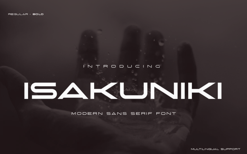 ISAKUNIKI现代无衬线字体