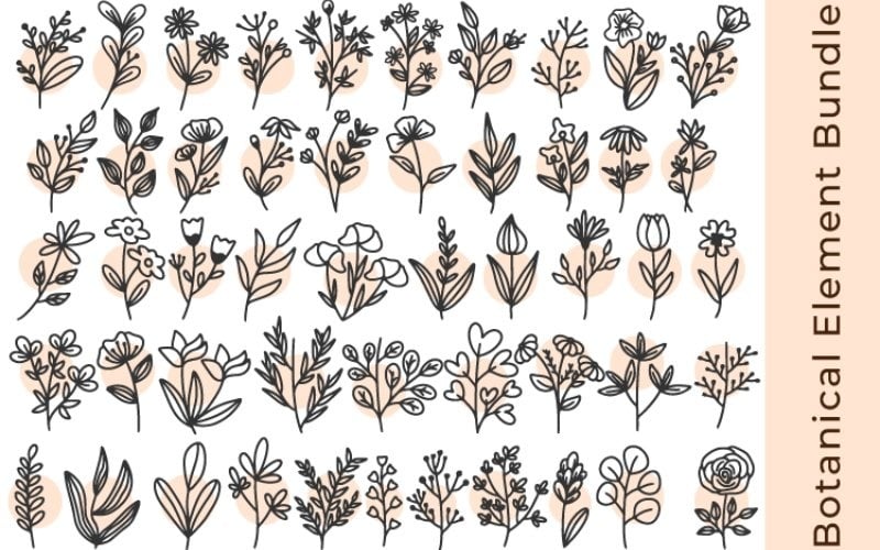 花SVG包| 50花，叶子 & 植物元素图解