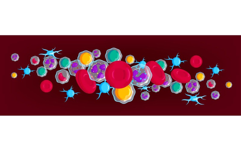 血细胞插图201250406矢量插图概念