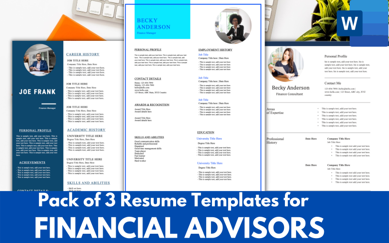 Pack de 3 modèles de CV pour conseiller financier / consultants - FORMAT DE CV CV MS word.