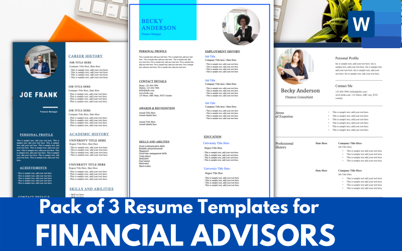 Paquete de 3 plantillas de currículum vitae para asesores financieros / consultores: formato de currículum vitae de MS word.