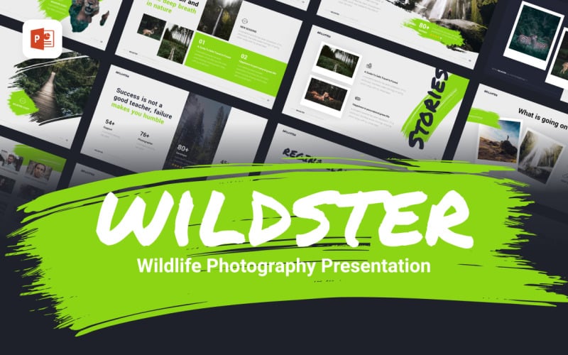 Wildster创意野生摄影PowerPoint模板