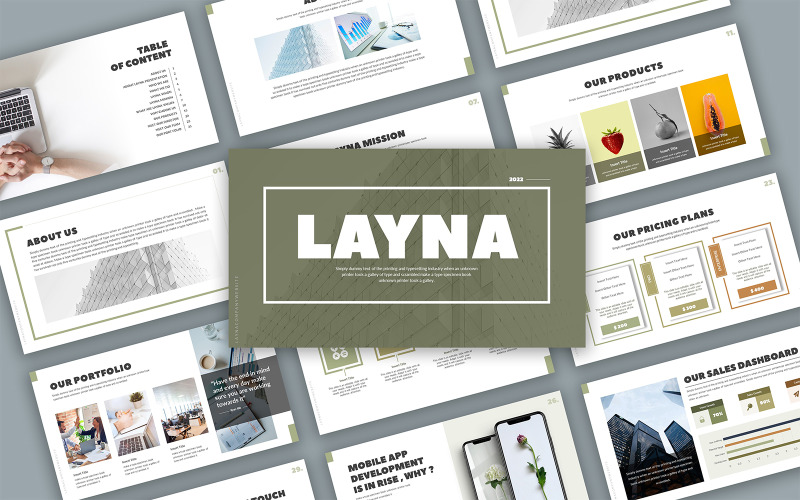 Layna商业演示演示文稿模板