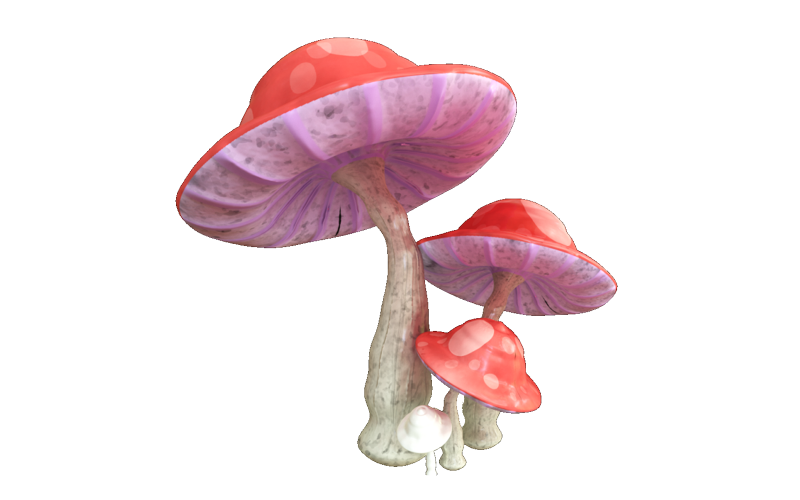 Champignons Plant World modèle 3D