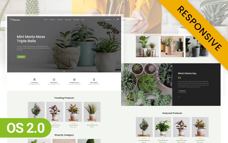 Pianta- Óvoda cserepes növénybolt Shopify 2.0 téma
