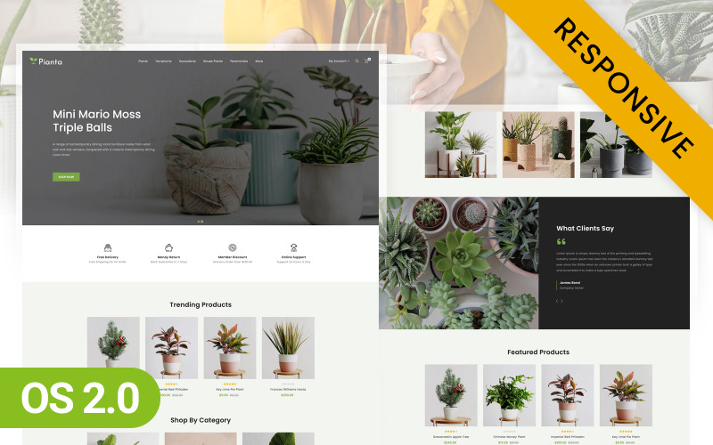 Pianta- Shopify主题2.0 para tienda de plantas en macetas de vivero