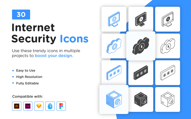 30 iconos de seguridad cibernética e Internet