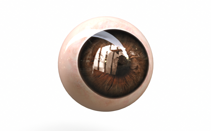 Человеческий глаз Низкополигональная 3D модель