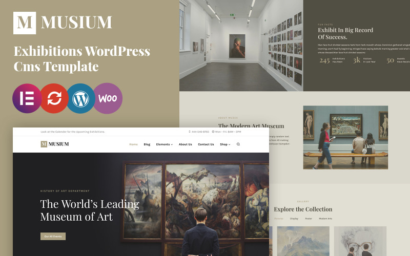 Musium - Tema WordPress per gallerie d'arte e musei